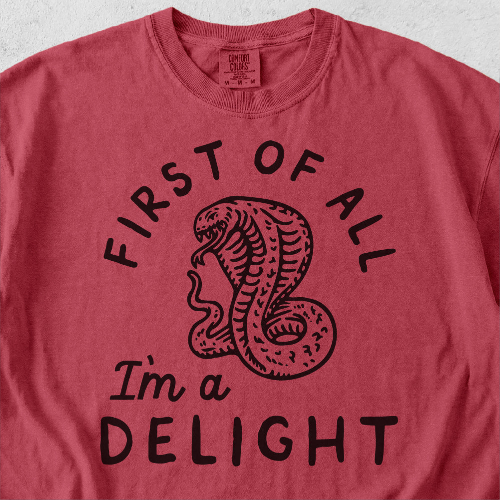 I’m A Delight Tshirt