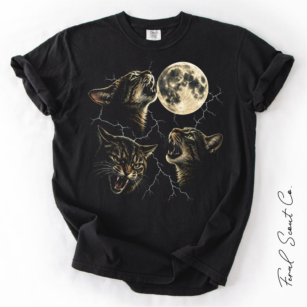 Tabby Cat Storm Tshirt