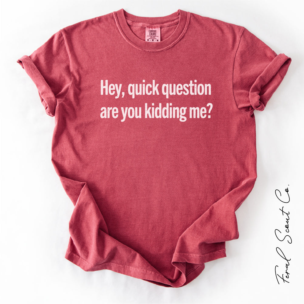 Are You Kidding Me Tshirt
