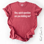 Are You Kidding Me Tshirt
