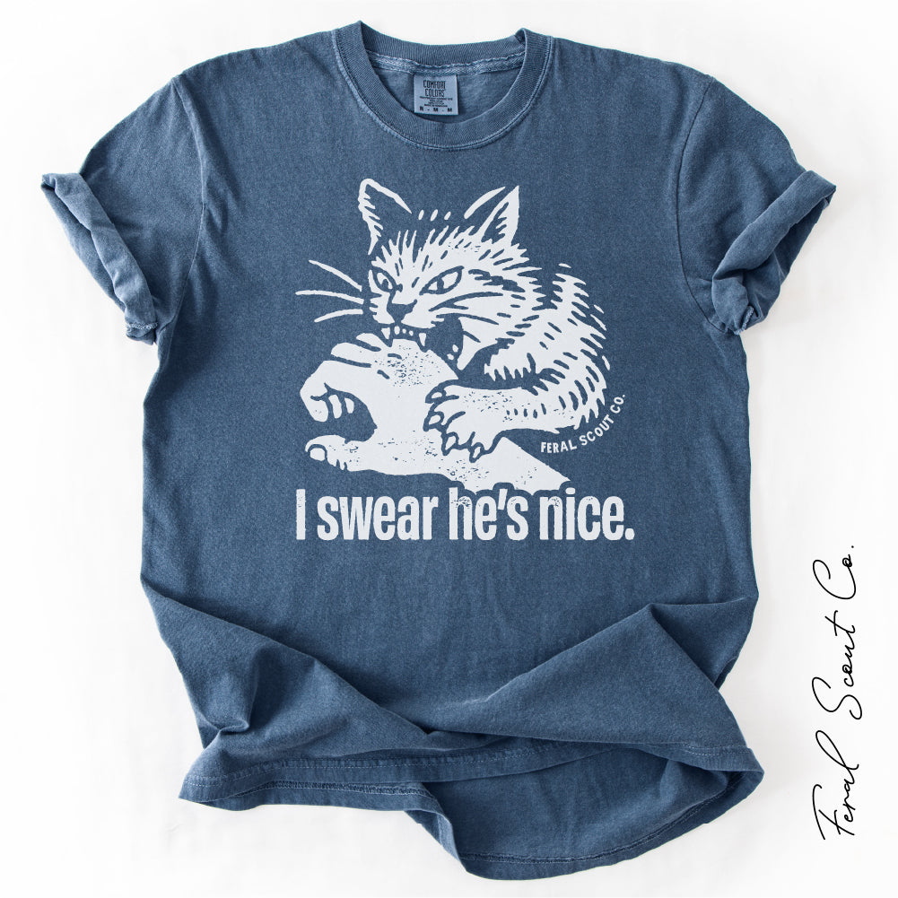 I Swear He's Nice Tshirt