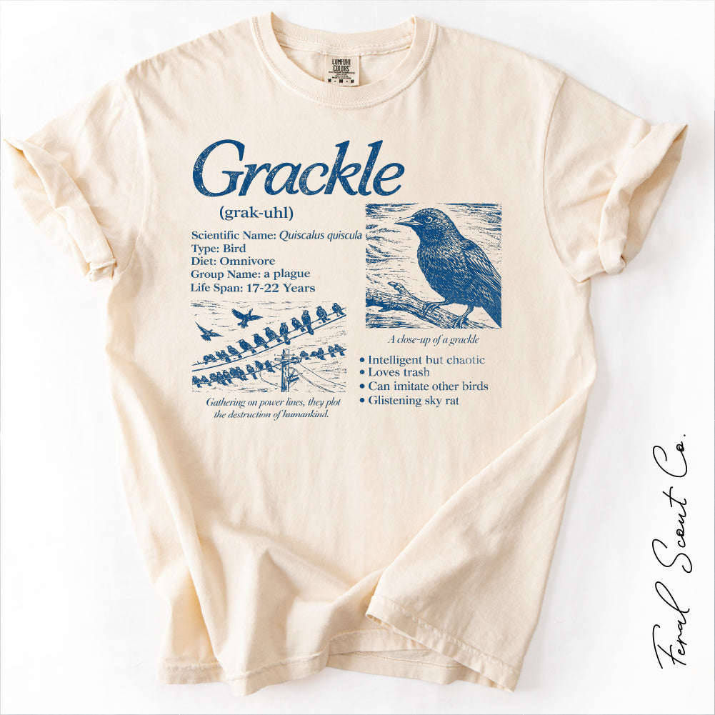 Grackle Encyclopedia Tshirt