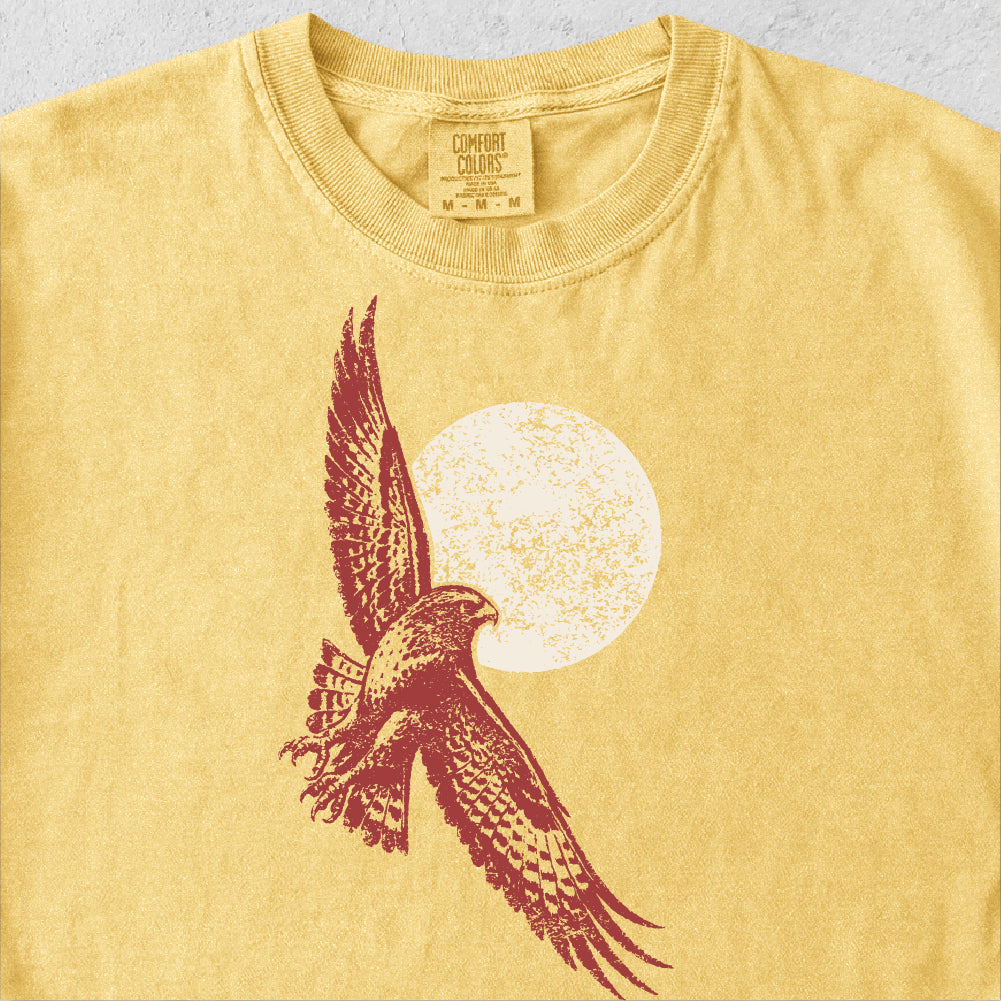 Hawk and Sun Tshirt