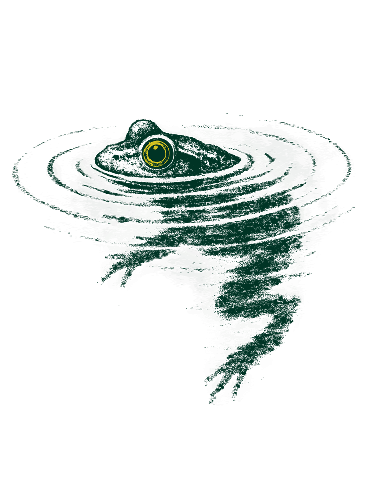 Frog Swimming Woven Blanket