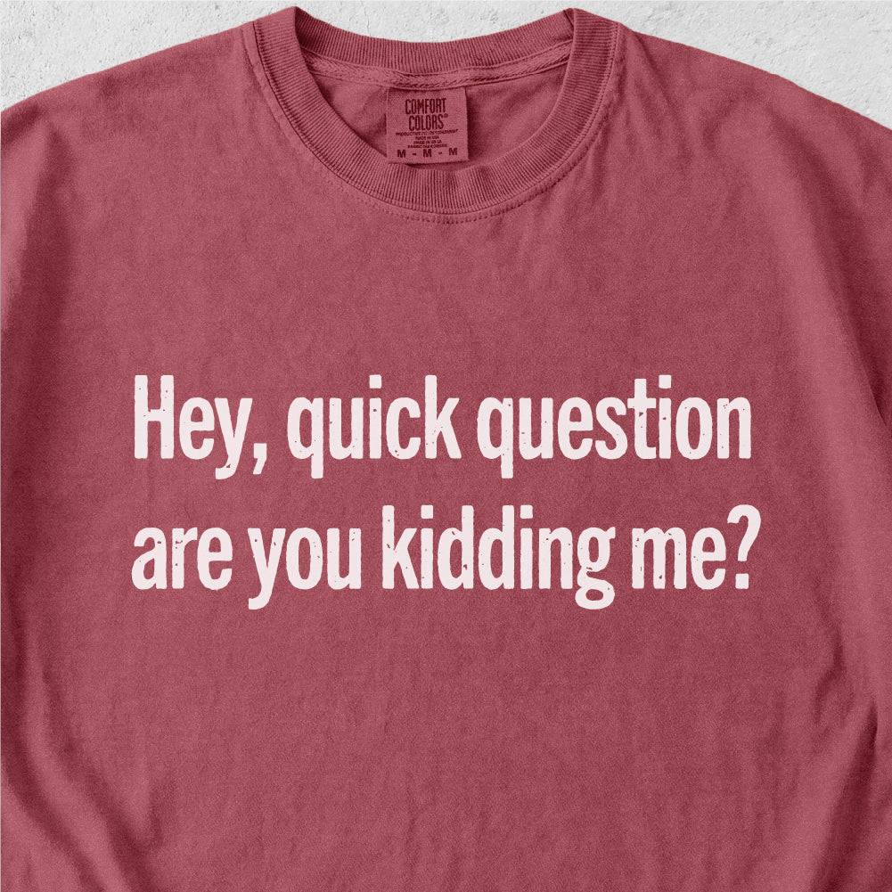 Are You Kidding Me Tshirt