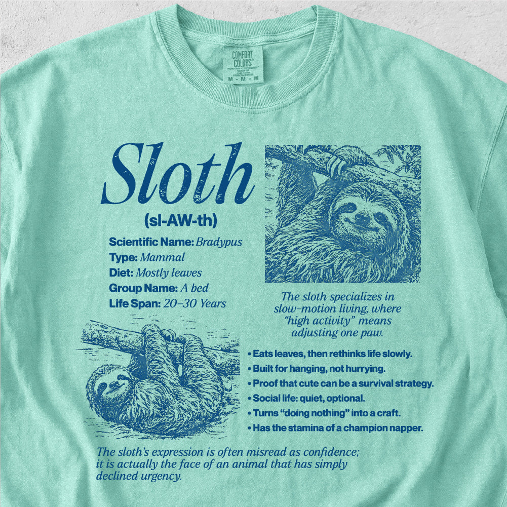 Sloth Definition Tshirt