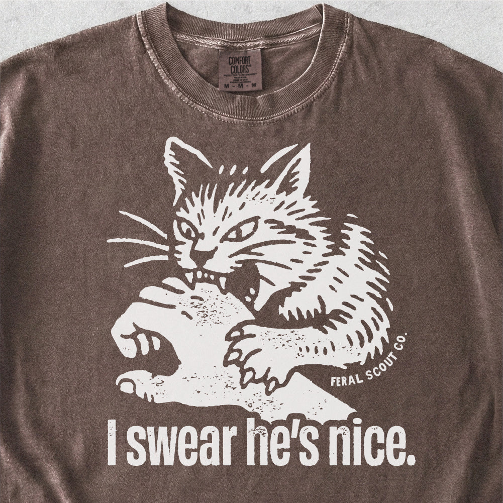 I Swear He's Nice Tshirt