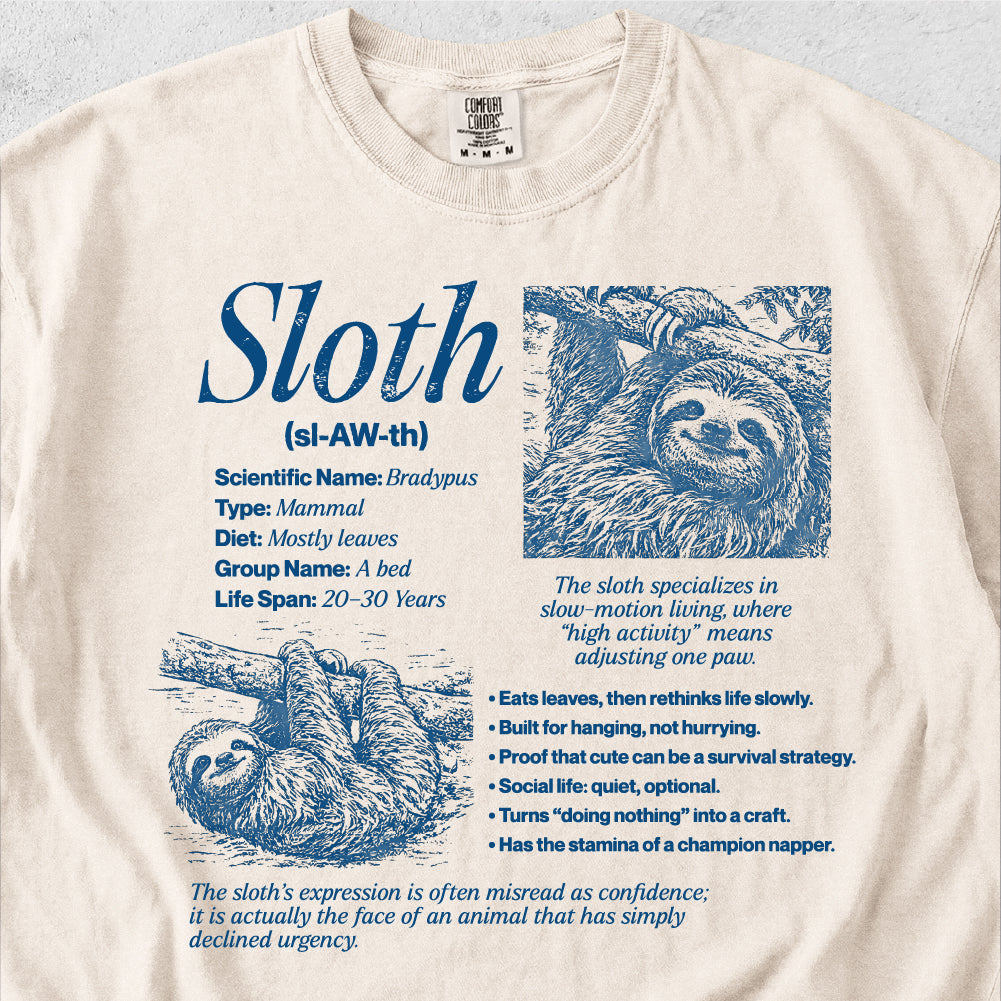 Sloth Definition Tshirt