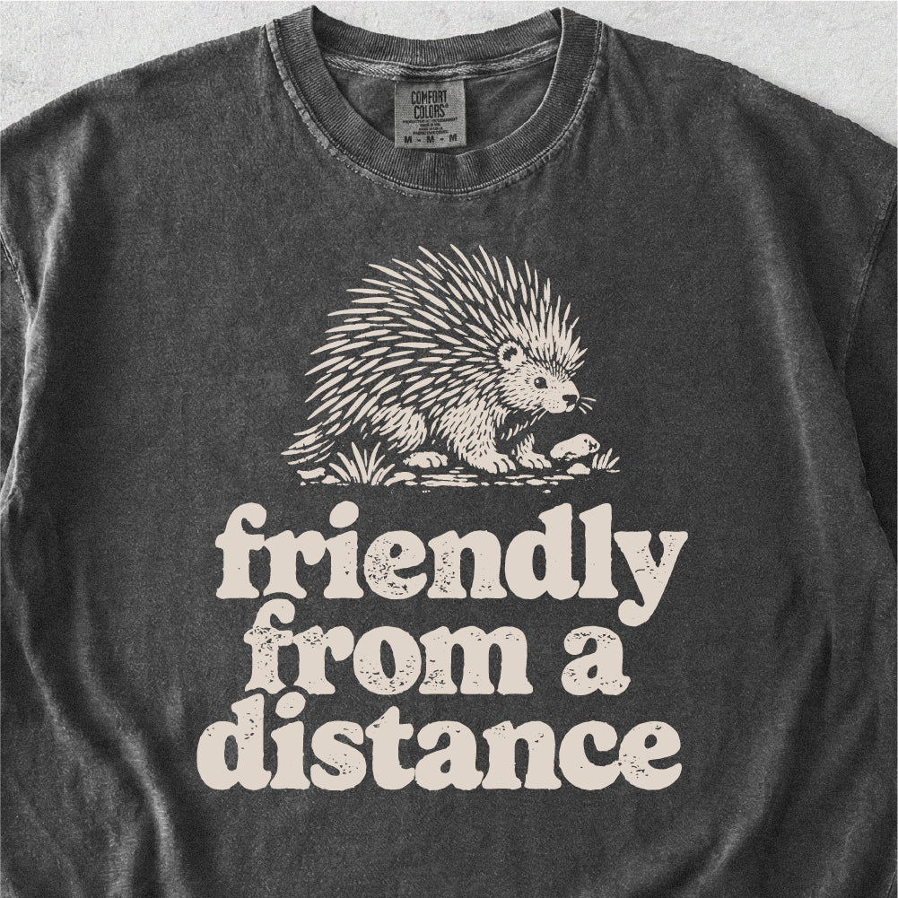 Friendly From a Distance Tshirt
