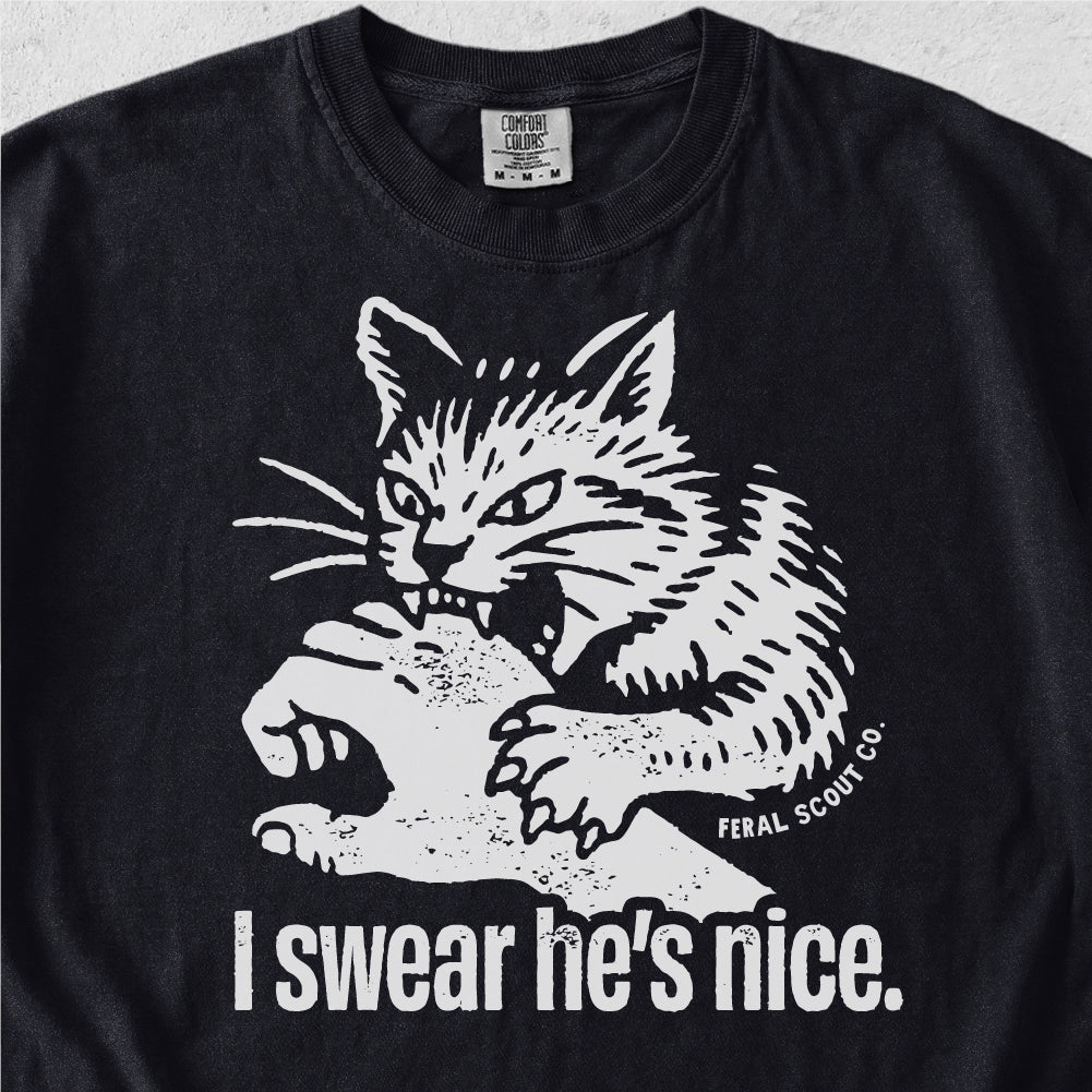 I Swear He's Nice Tshirt