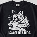 I Swear He's Nice Tshirt